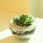 Plant Gift Branded