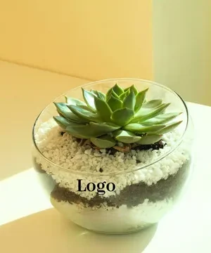 Plant Gift Branded