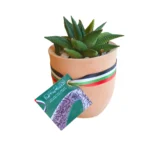 UAE National Day Eco friendly Gifts