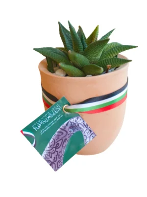 UAE National Day Eco friendly Gifts