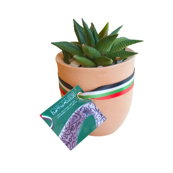 UAE National Day Eco friendly Gifts