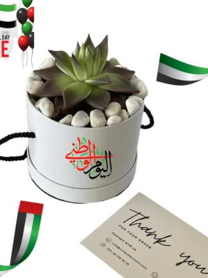 UAE Plant- National Day Gift Box